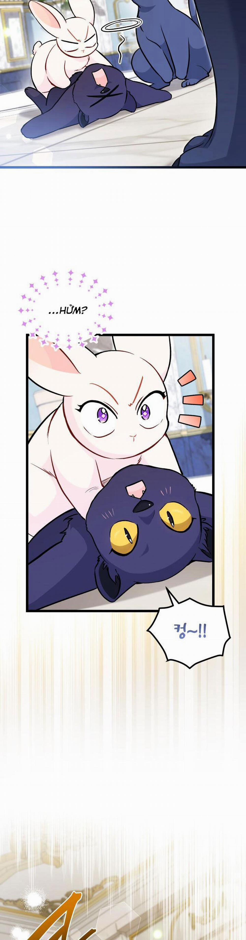 Mối Quan Hệ Cộng Sinh Giữa Báo Đen Và Thỏ Trắng 134 trang 13