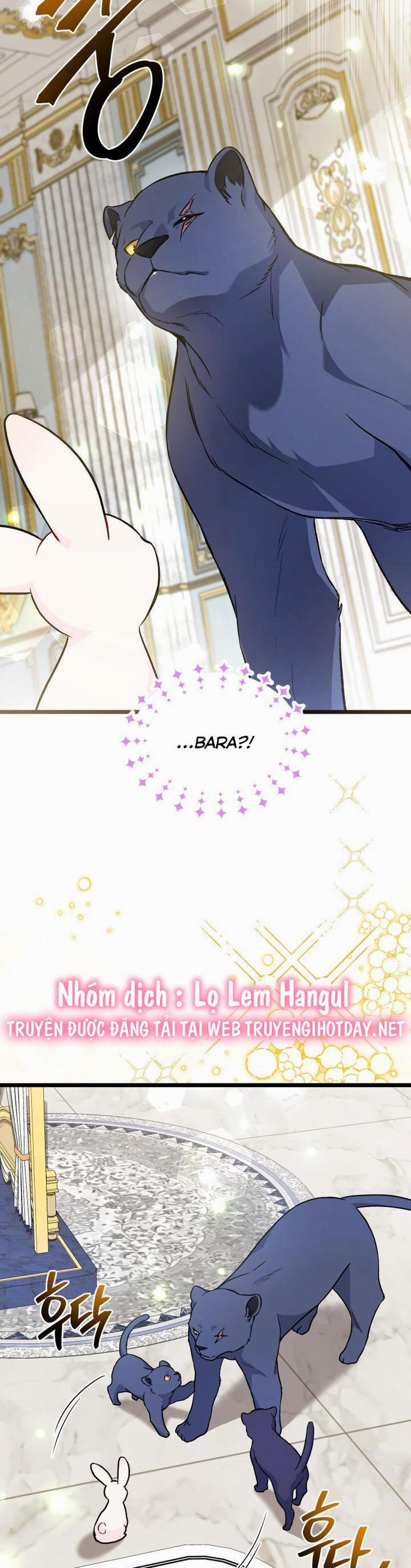 Mối Quan Hệ Cộng Sinh Giữa Báo Đen Và Thỏ Trắng 134 trang 14