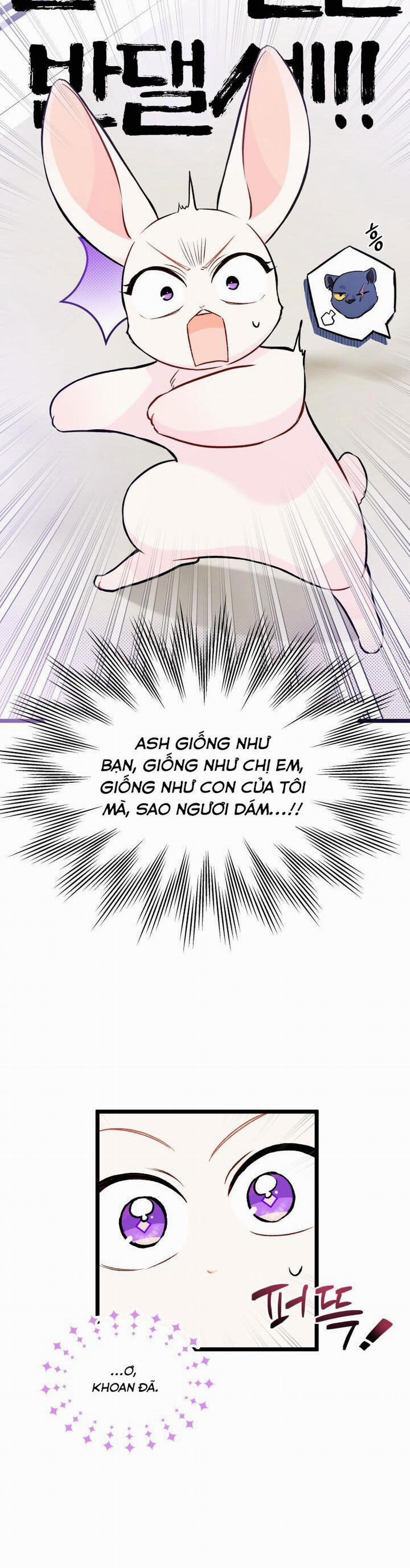Mối Quan Hệ Cộng Sinh Giữa Báo Đen Và Thỏ Trắng 134 trang 17