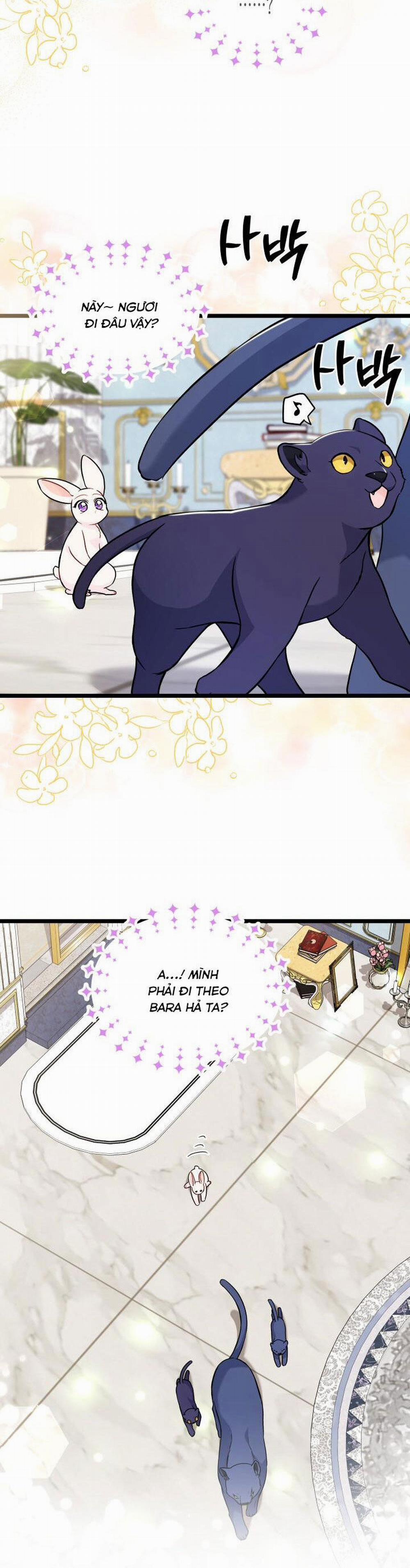 Mối Quan Hệ Cộng Sinh Giữa Báo Đen Và Thỏ Trắng 134 trang 19