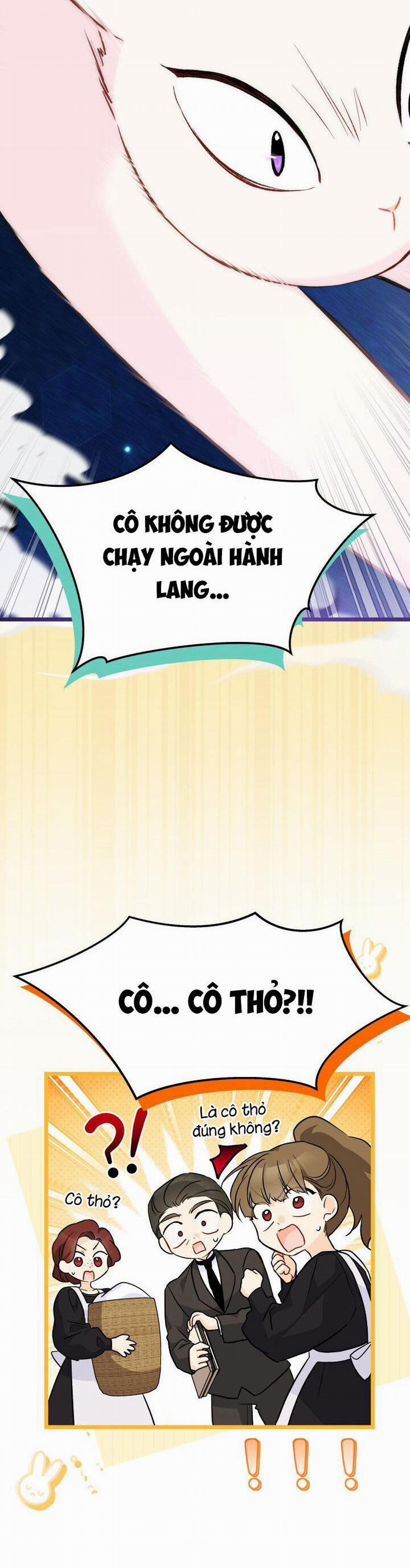 Mối Quan Hệ Cộng Sinh Giữa Báo Đen Và Thỏ Trắng 134 trang 23