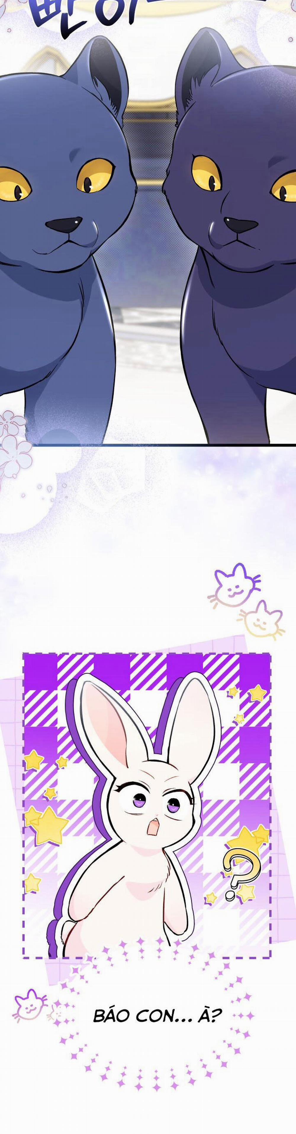 Mối Quan Hệ Cộng Sinh Giữa Báo Đen Và Thỏ Trắng 134 trang 5