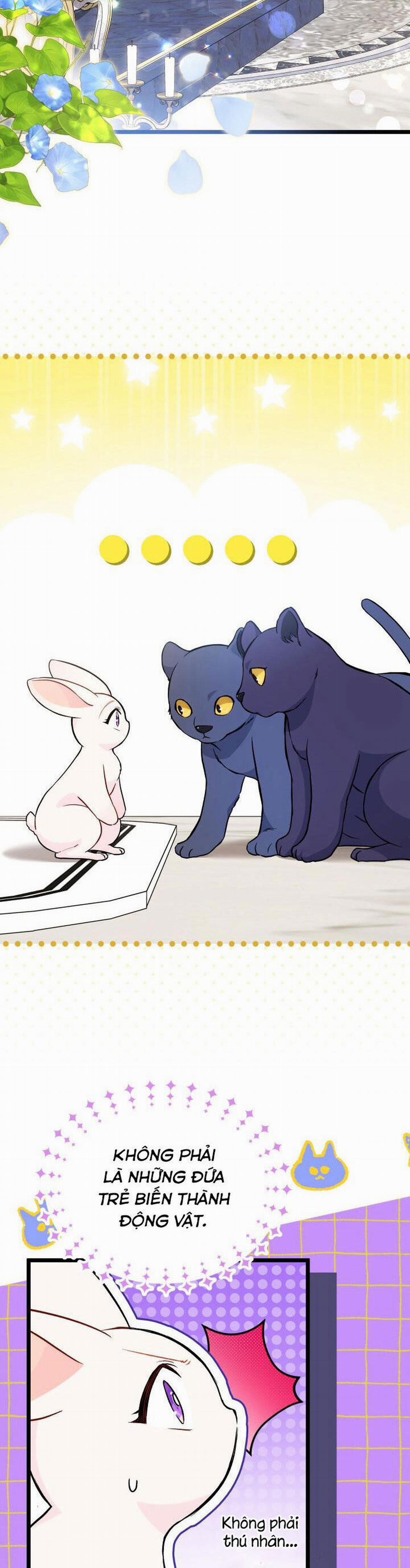 Mối Quan Hệ Cộng Sinh Giữa Báo Đen Và Thỏ Trắng 134 trang 7