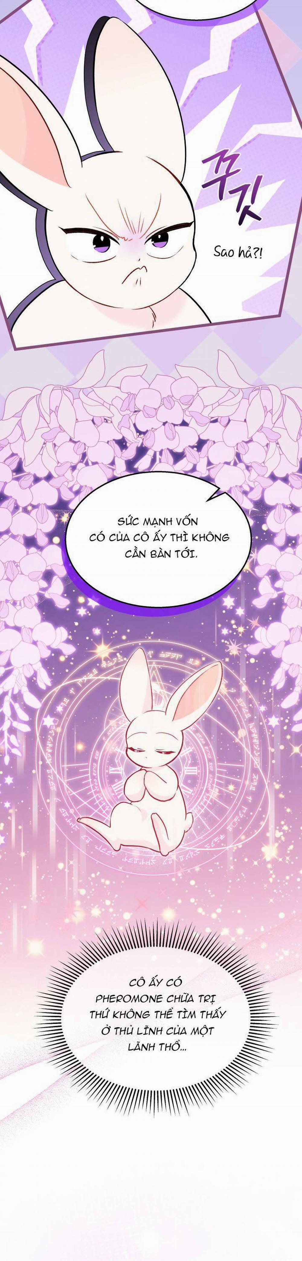 Mối Quan Hệ Cộng Sinh Giữa Báo Đen Và Thỏ Trắng 136 trang 25