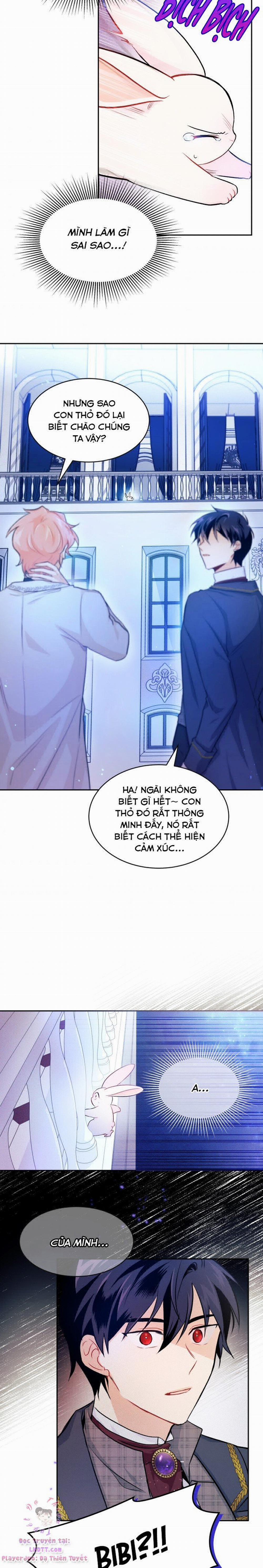 Mối Quan Hệ Cộng Sinh Giữa Báo Đen Và Thỏ Trắng 14 trang 15