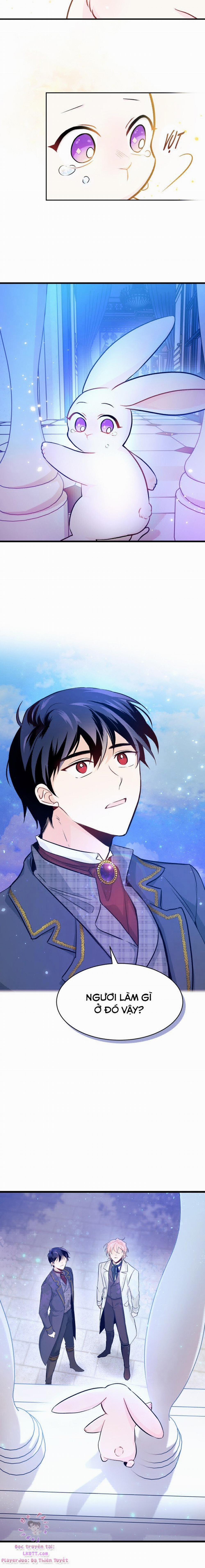 Mối Quan Hệ Cộng Sinh Giữa Báo Đen Và Thỏ Trắng 14 trang 9