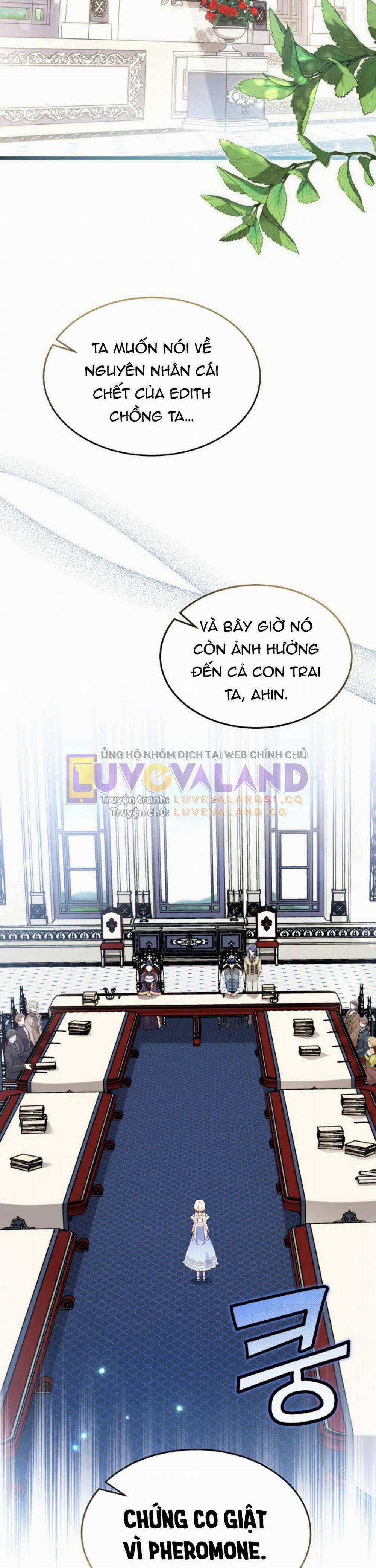 Mối Quan Hệ Cộng Sinh Giữa Báo Đen Và Thỏ Trắng 141 trang 1