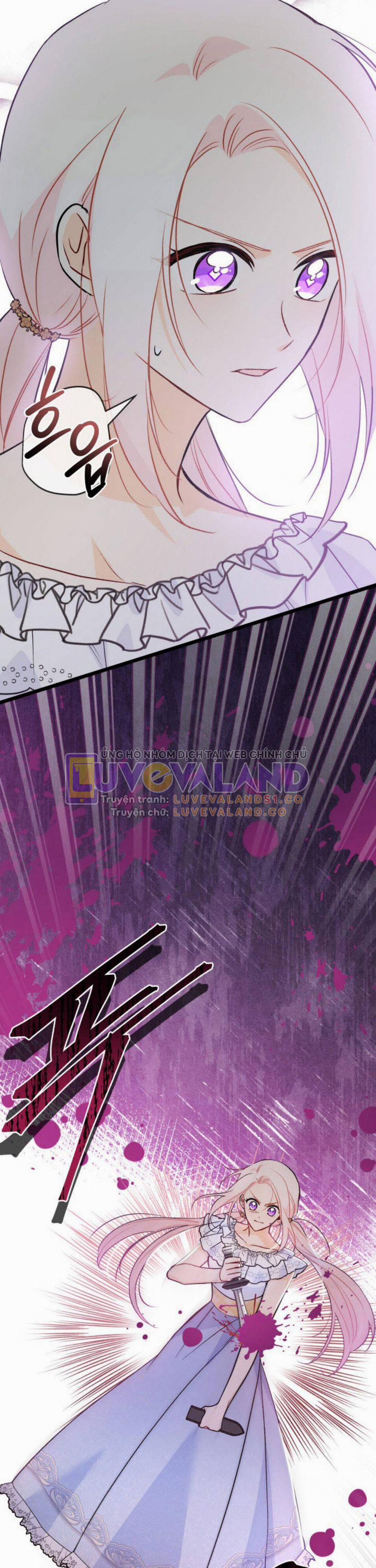 Mối Quan Hệ Cộng Sinh Giữa Báo Đen Và Thỏ Trắng 141 trang 24