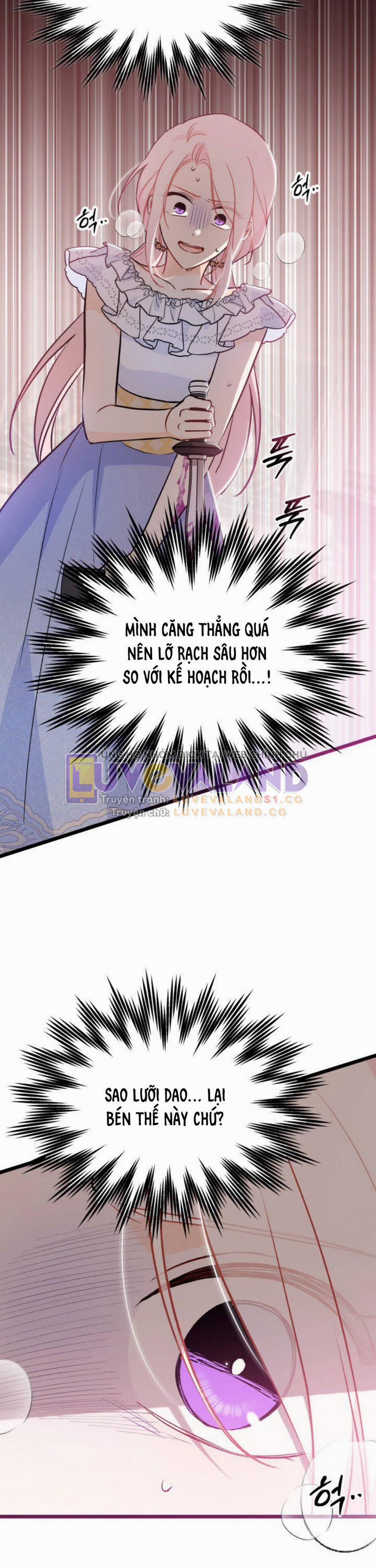 Mối Quan Hệ Cộng Sinh Giữa Báo Đen Và Thỏ Trắng 141 trang 27