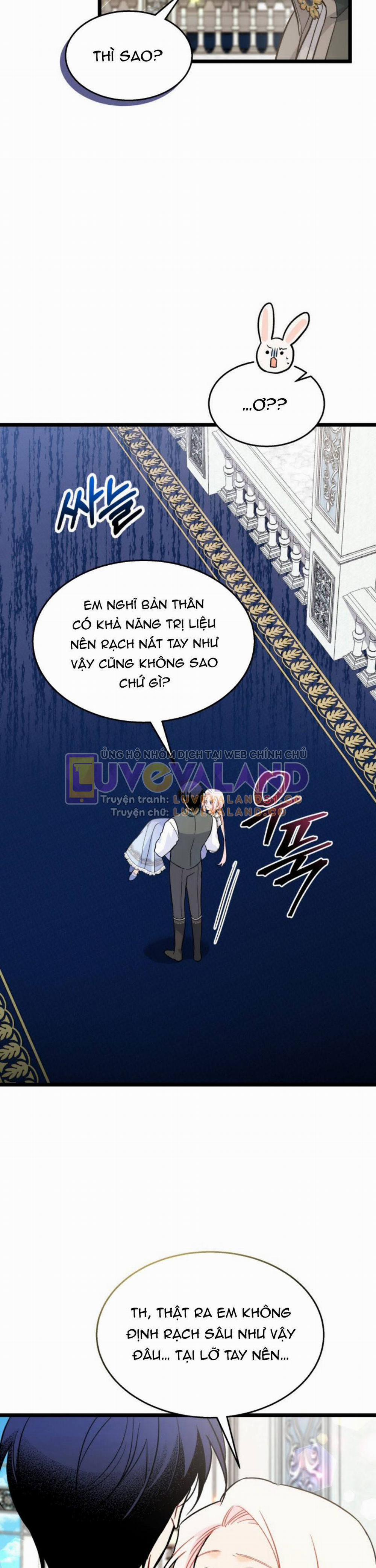 Mối Quan Hệ Cộng Sinh Giữa Báo Đen Và Thỏ Trắng 142 trang 5