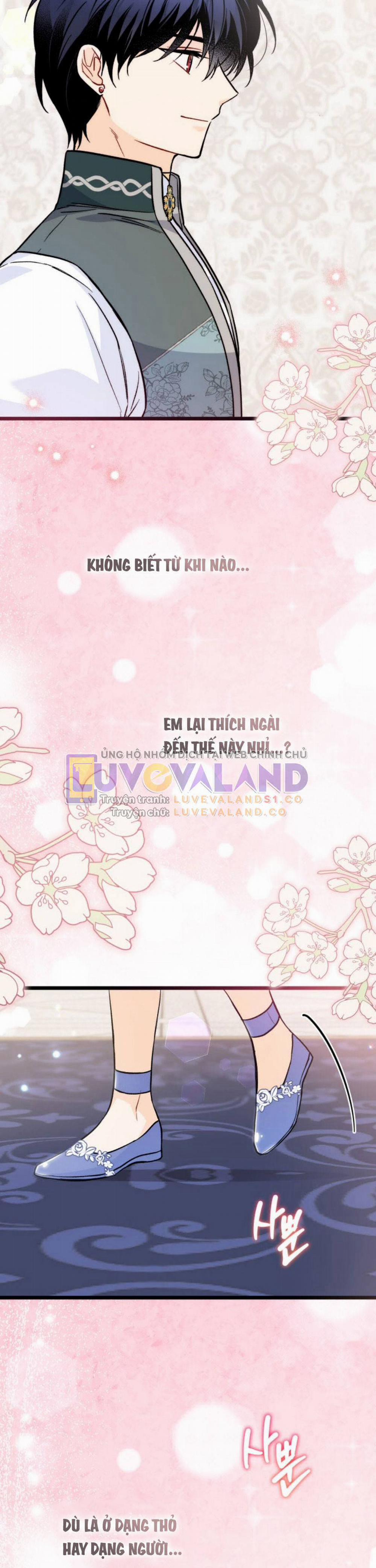 Mối Quan Hệ Cộng Sinh Giữa Báo Đen Và Thỏ Trắng 143 trang 12