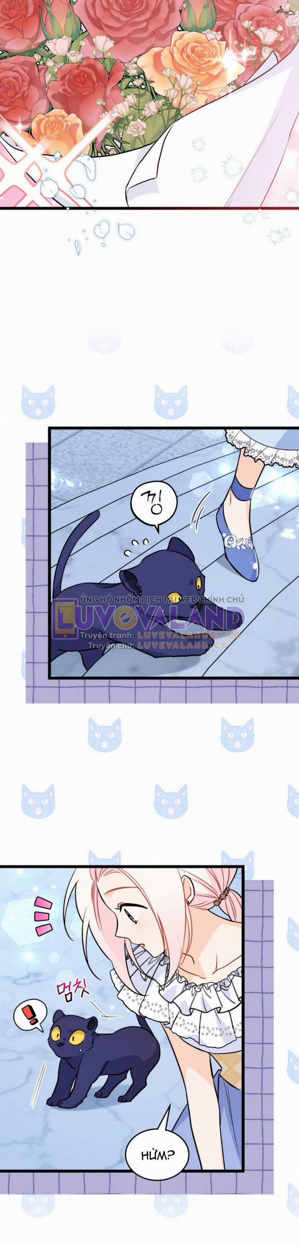 Mối Quan Hệ Cộng Sinh Giữa Báo Đen Và Thỏ Trắng 143 trang 2