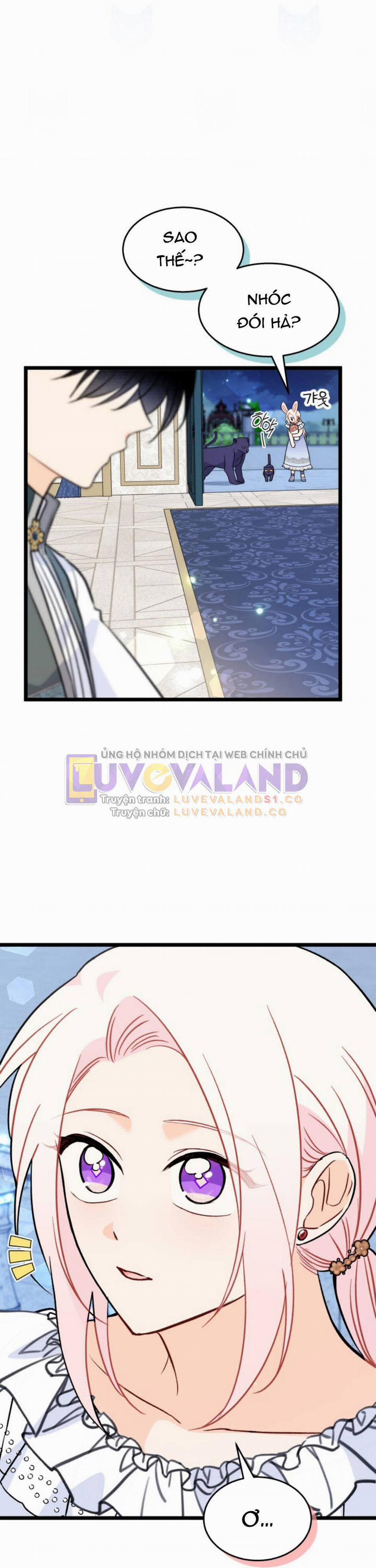 Mối Quan Hệ Cộng Sinh Giữa Báo Đen Và Thỏ Trắng 143 trang 3