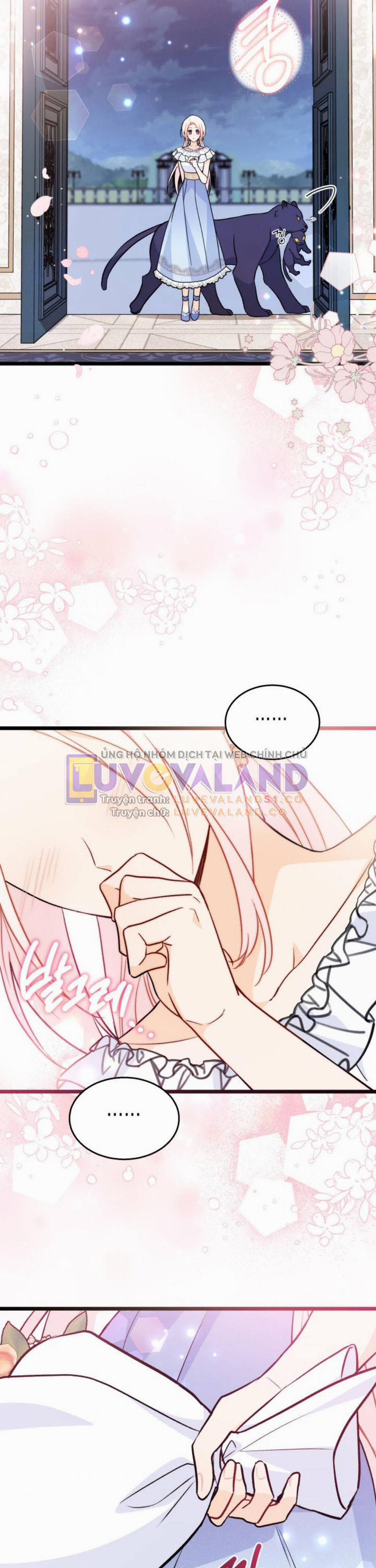 Mối Quan Hệ Cộng Sinh Giữa Báo Đen Và Thỏ Trắng 143 trang 9