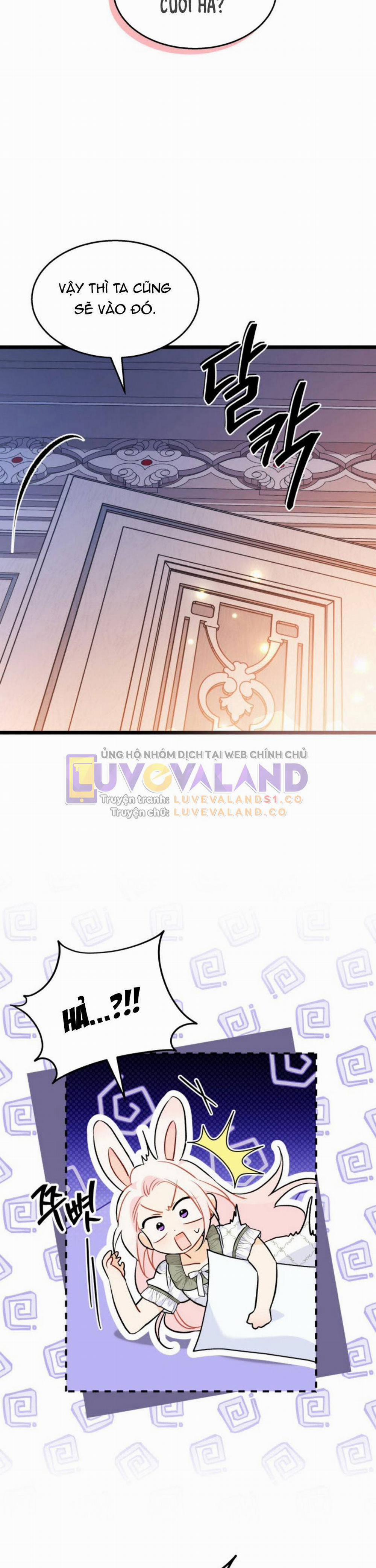 Mối Quan Hệ Cộng Sinh Giữa Báo Đen Và Thỏ Trắng 144 trang 14