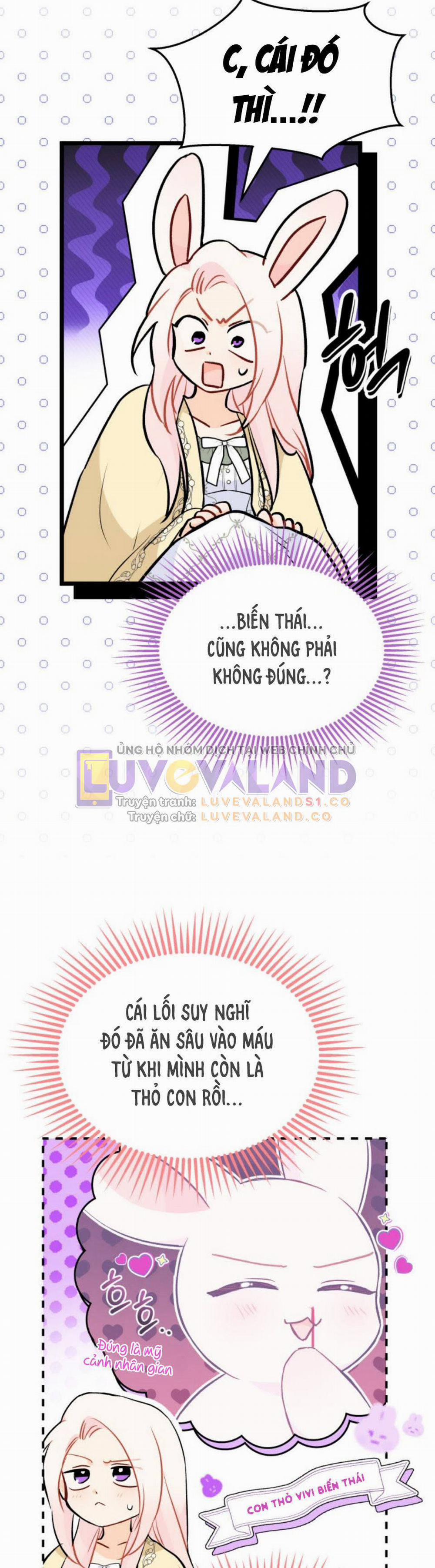 Mối Quan Hệ Cộng Sinh Giữa Báo Đen Và Thỏ Trắng 144 trang 36