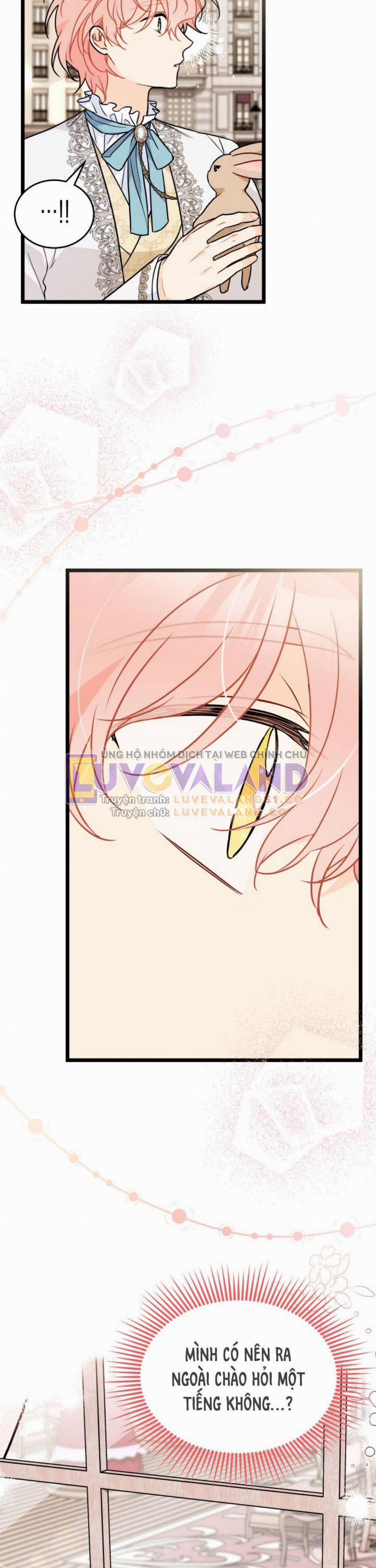 Mối Quan Hệ Cộng Sinh Giữa Báo Đen Và Thỏ Trắng 145 trang 18