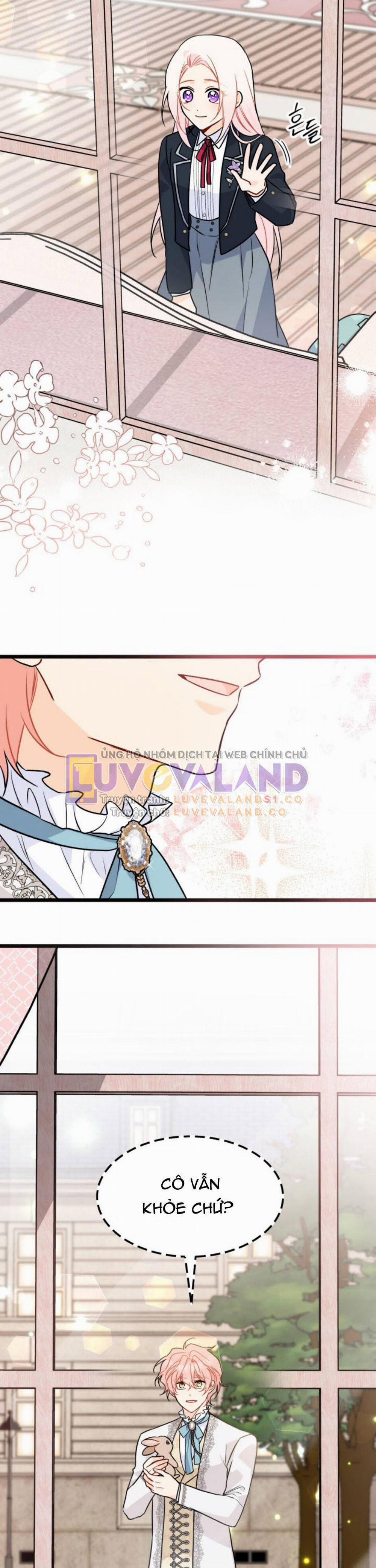 Mối Quan Hệ Cộng Sinh Giữa Báo Đen Và Thỏ Trắng 145 trang 19