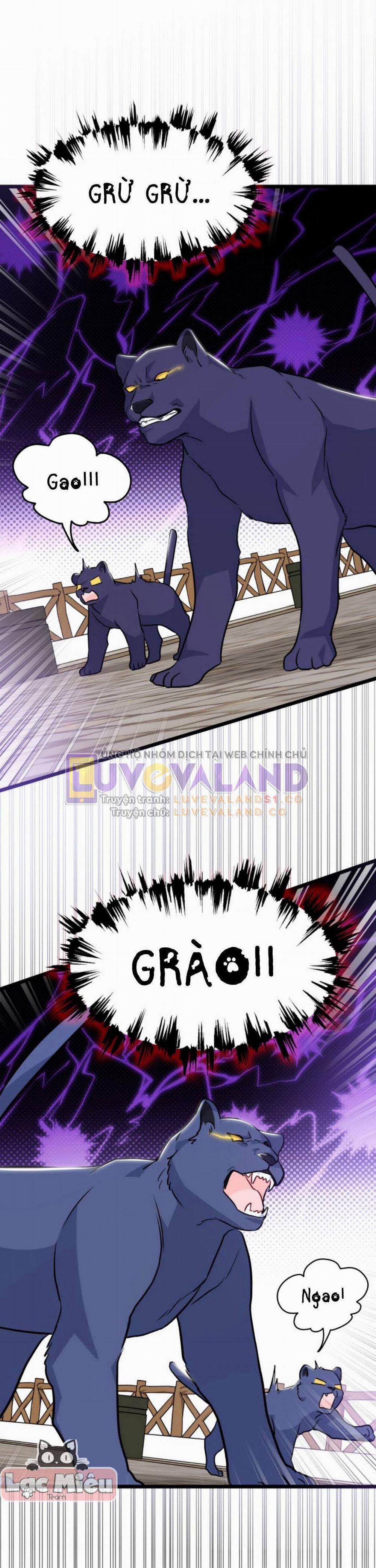 Mối Quan Hệ Cộng Sinh Giữa Báo Đen Và Thỏ Trắng 146 trang 13