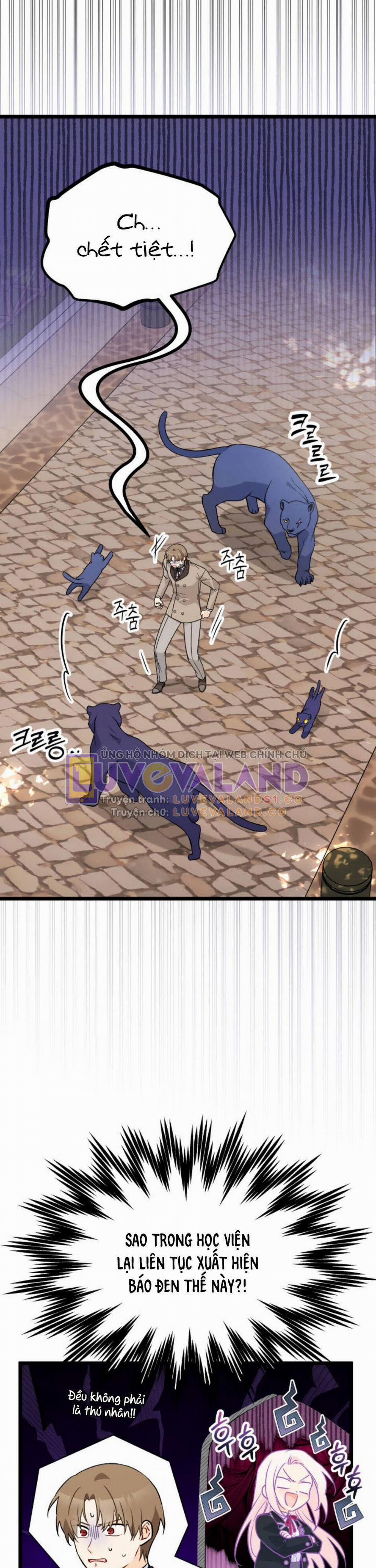 Mối Quan Hệ Cộng Sinh Giữa Báo Đen Và Thỏ Trắng 146 trang 14