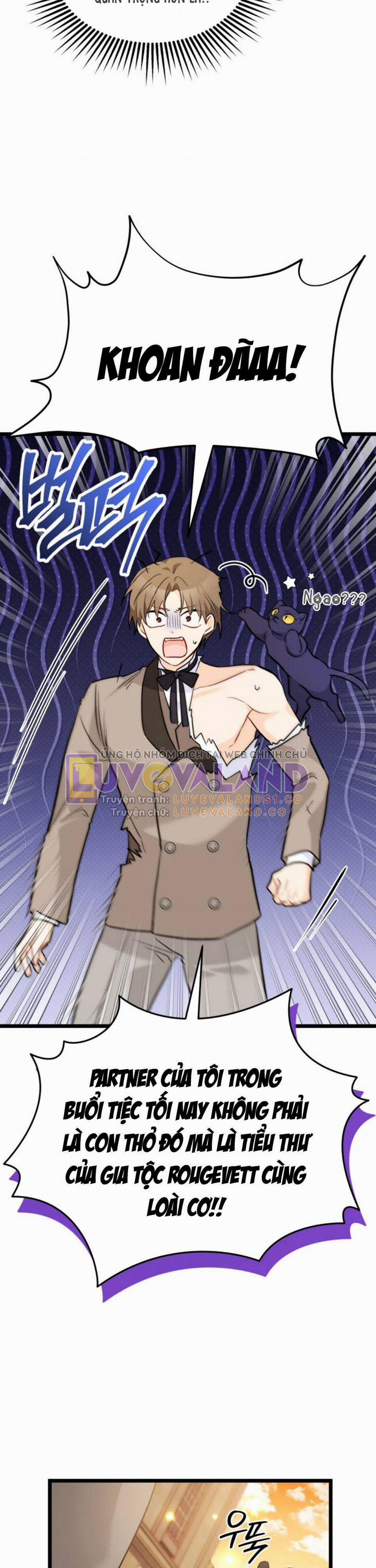 Mối Quan Hệ Cộng Sinh Giữa Báo Đen Và Thỏ Trắng 146 trang 29