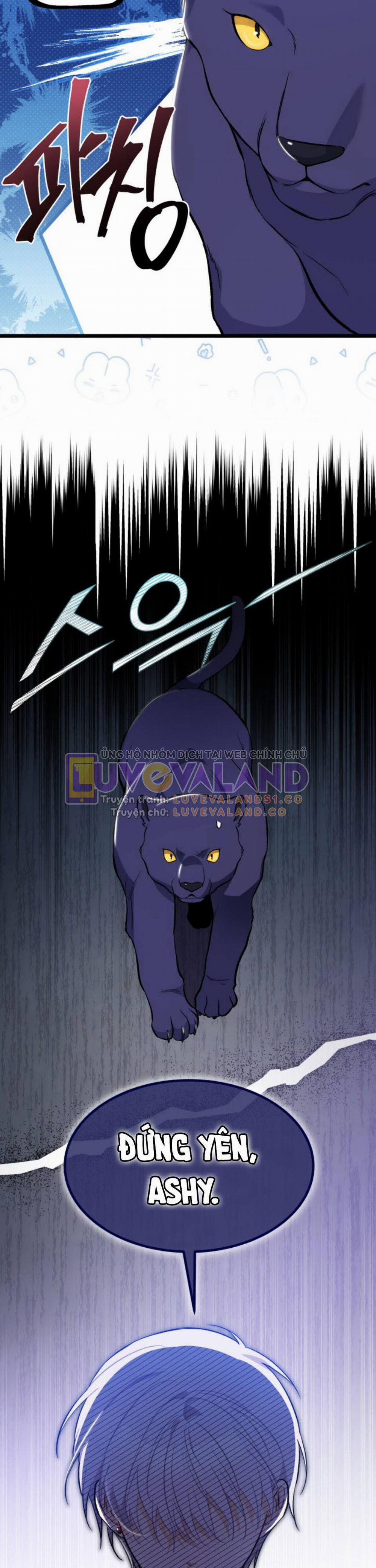 Mối Quan Hệ Cộng Sinh Giữa Báo Đen Và Thỏ Trắng 149 trang 20