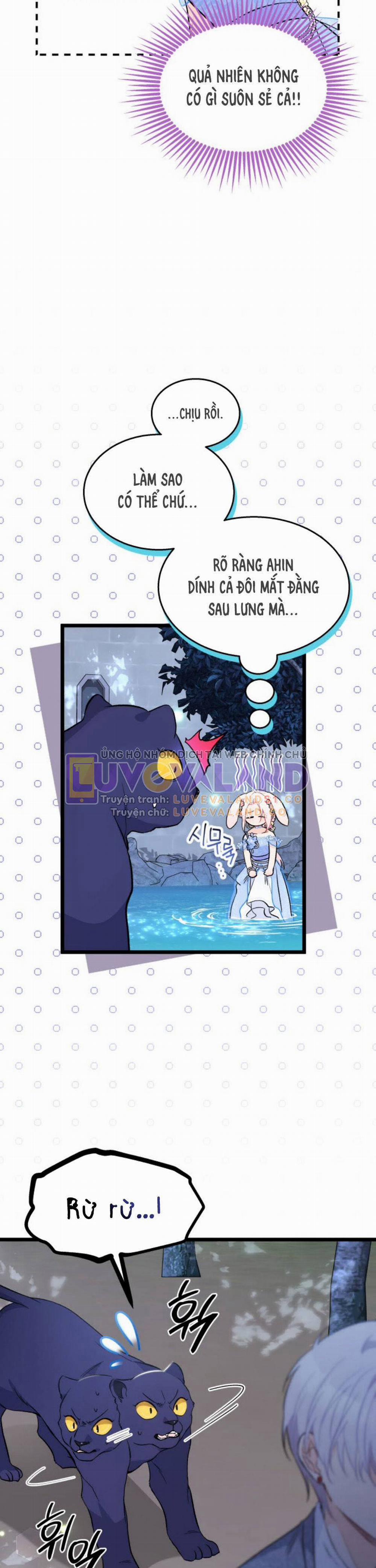 Mối Quan Hệ Cộng Sinh Giữa Báo Đen Và Thỏ Trắng 149 trang 22