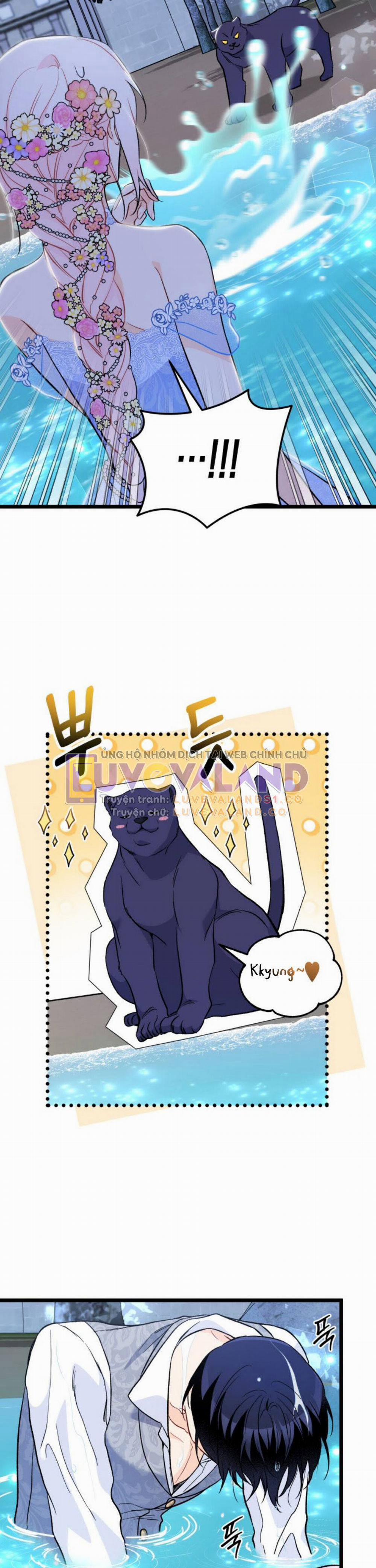 Mối Quan Hệ Cộng Sinh Giữa Báo Đen Và Thỏ Trắng 149 trang 26