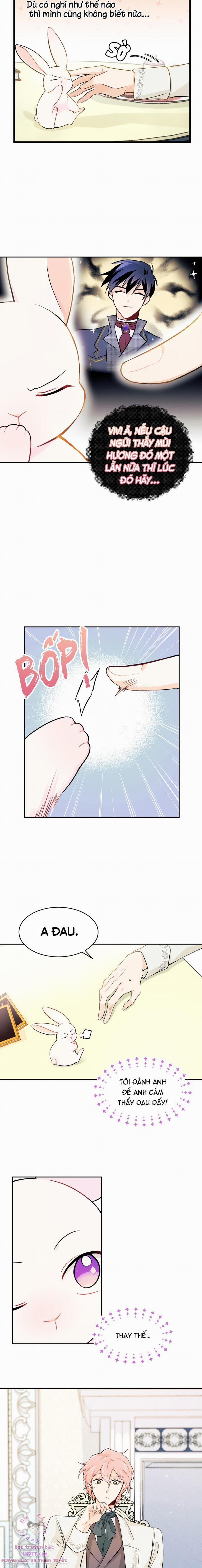 Mối Quan Hệ Cộng Sinh Giữa Báo Đen Và Thỏ Trắng 15 trang 6