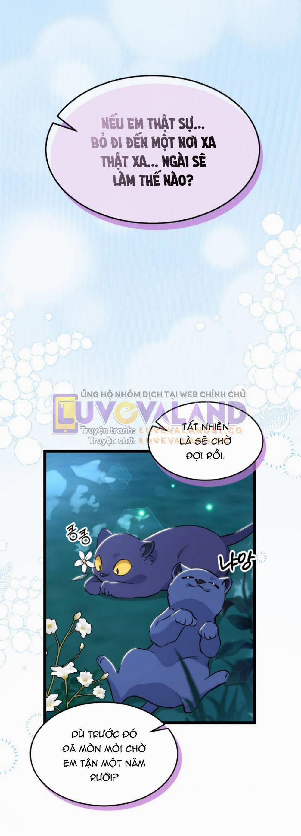 Mối Quan Hệ Cộng Sinh Giữa Báo Đen Và Thỏ Trắng 150 trang 13