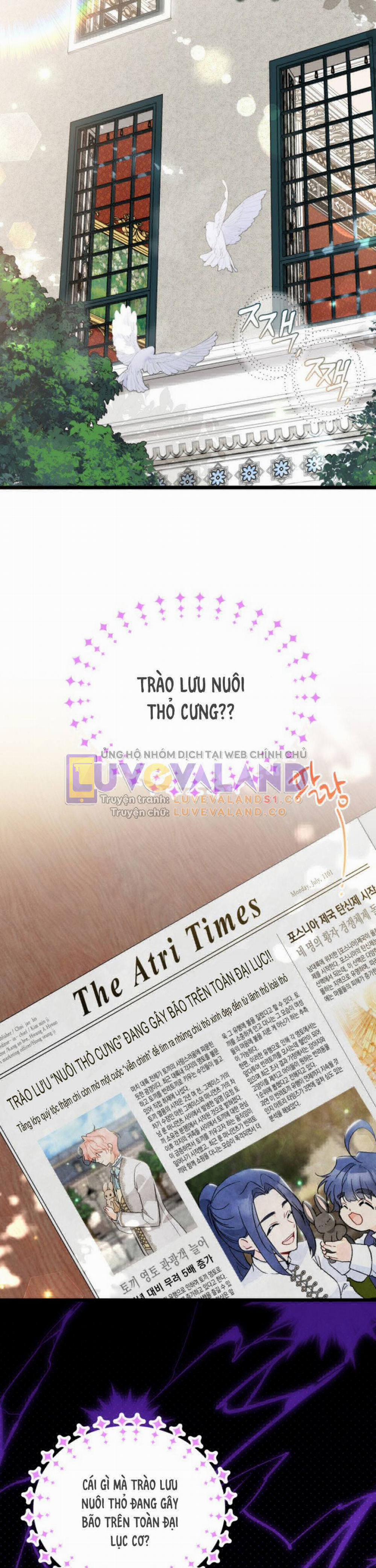 Mối Quan Hệ Cộng Sinh Giữa Báo Đen Và Thỏ Trắng 150 trang 18