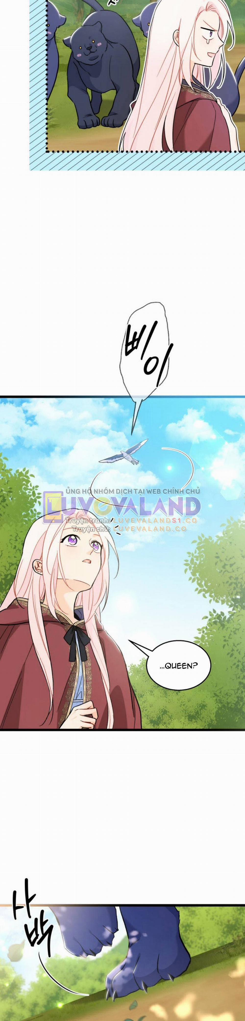 Mối Quan Hệ Cộng Sinh Giữa Báo Đen Và Thỏ Trắng 150 trang 28