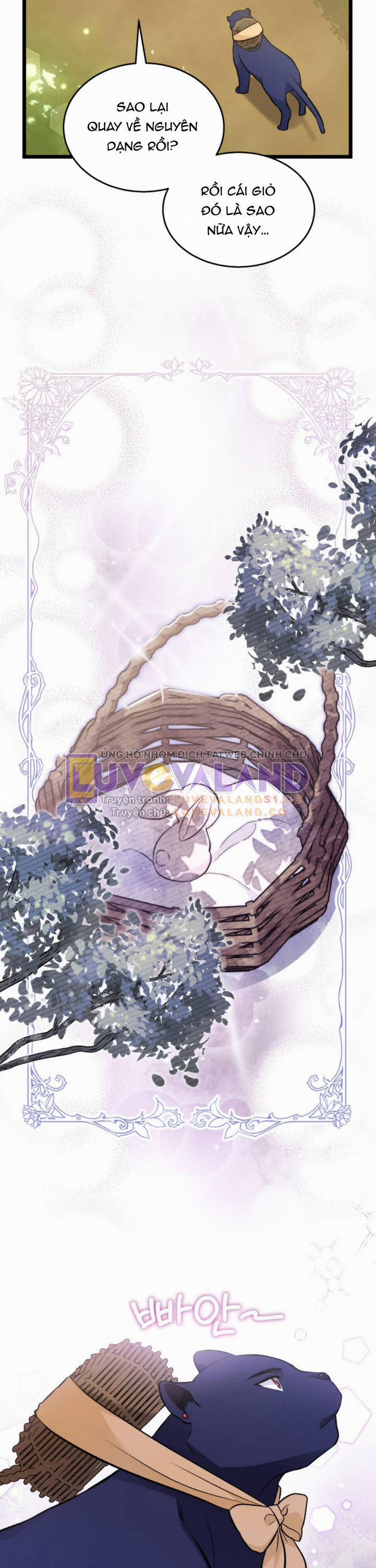 Mối Quan Hệ Cộng Sinh Giữa Báo Đen Và Thỏ Trắng 150 trang 31