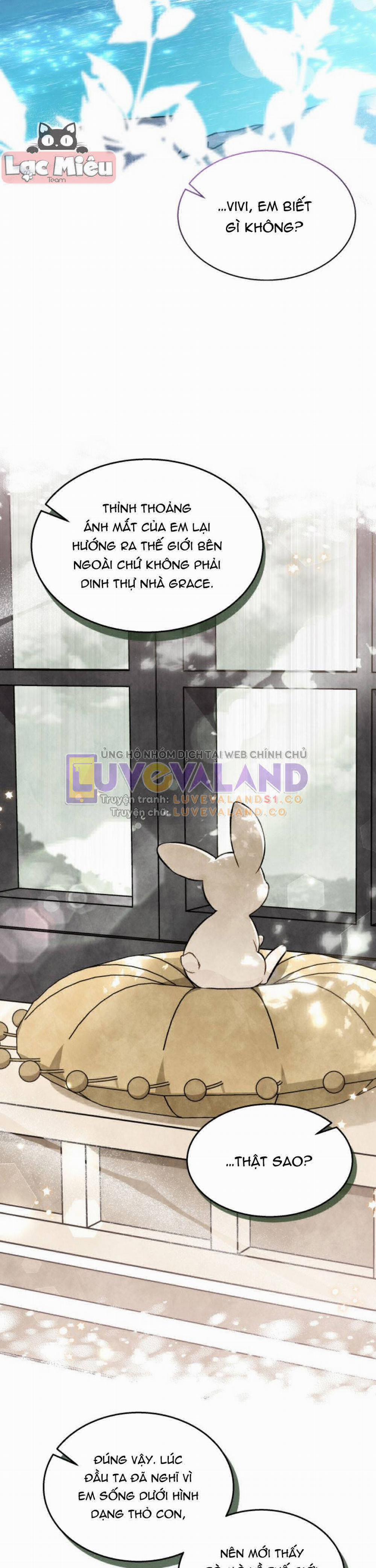 Mối Quan Hệ Cộng Sinh Giữa Báo Đen Và Thỏ Trắng 150 trang 4