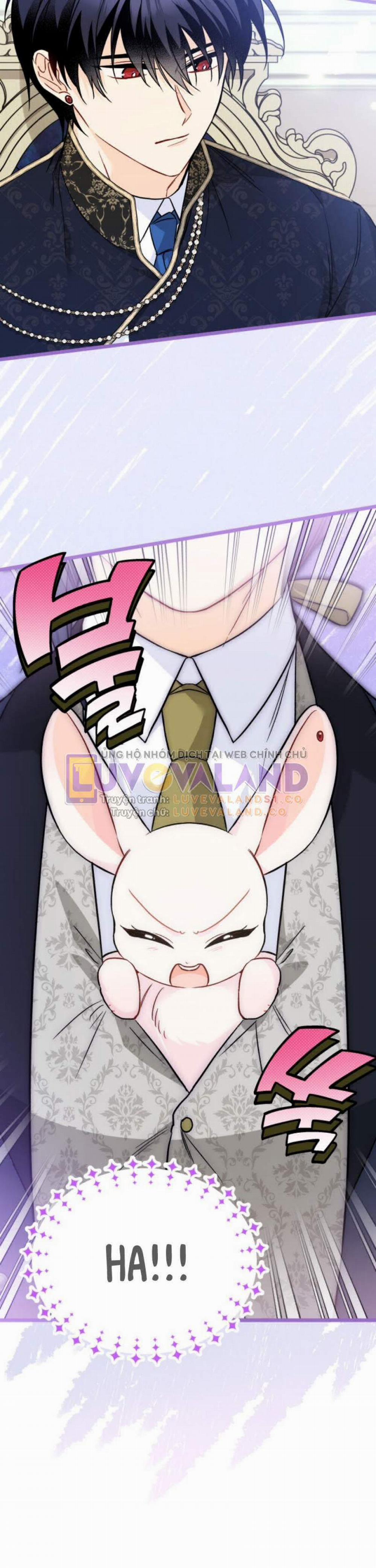 Mối Quan Hệ Cộng Sinh Giữa Báo Đen Và Thỏ Trắng 151 trang 25