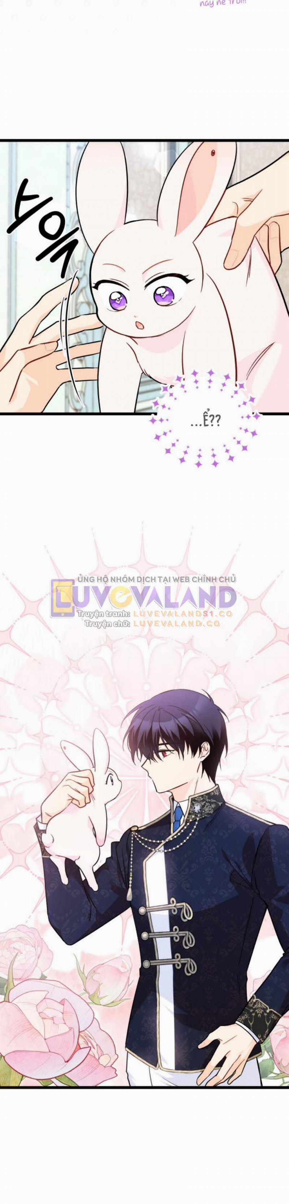 Mối Quan Hệ Cộng Sinh Giữa Báo Đen Và Thỏ Trắng 151 trang 31