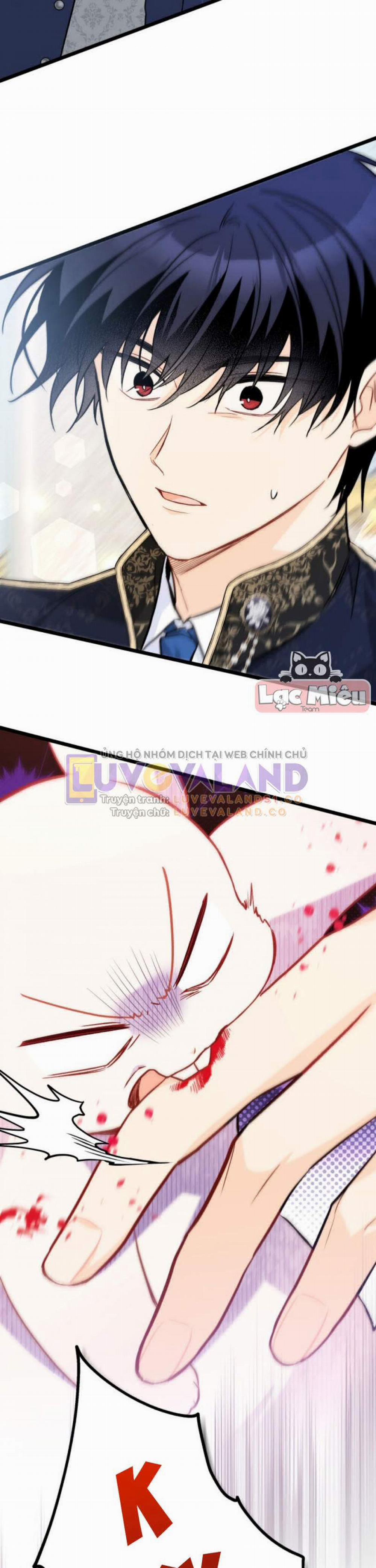 Mối Quan Hệ Cộng Sinh Giữa Báo Đen Và Thỏ Trắng 151 trang 38