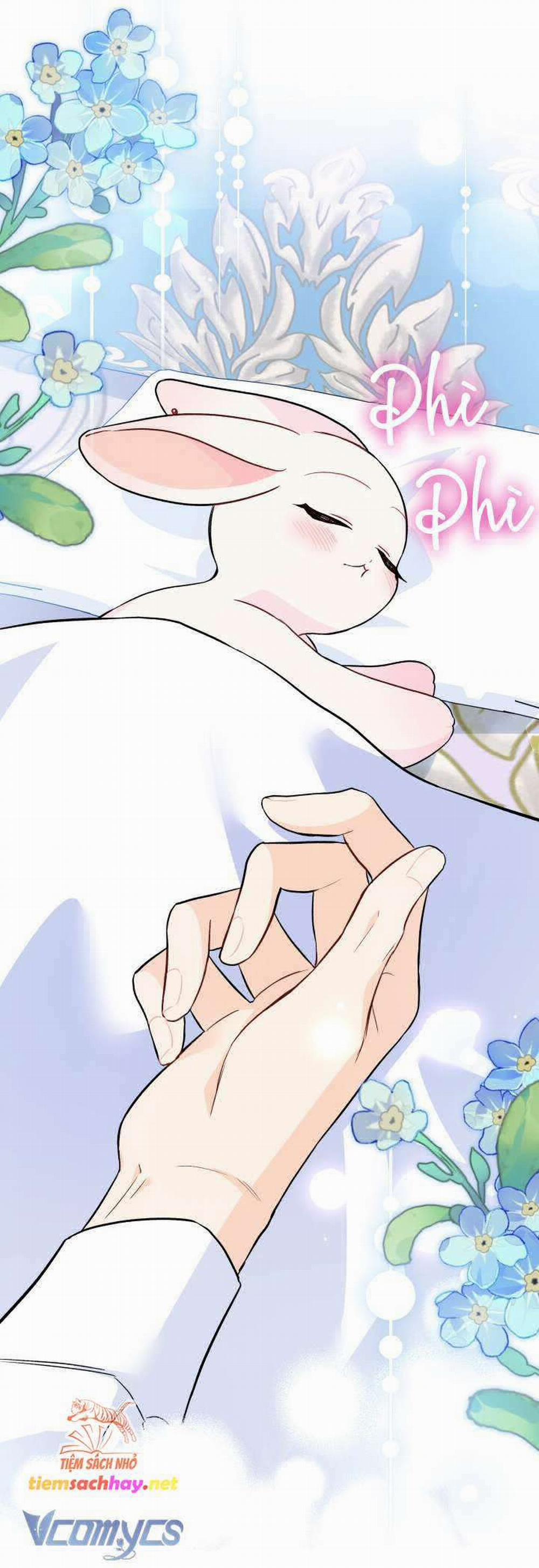 Mối Quan Hệ Cộng Sinh Giữa Báo Đen Và Thỏ Trắng 152 trang 33