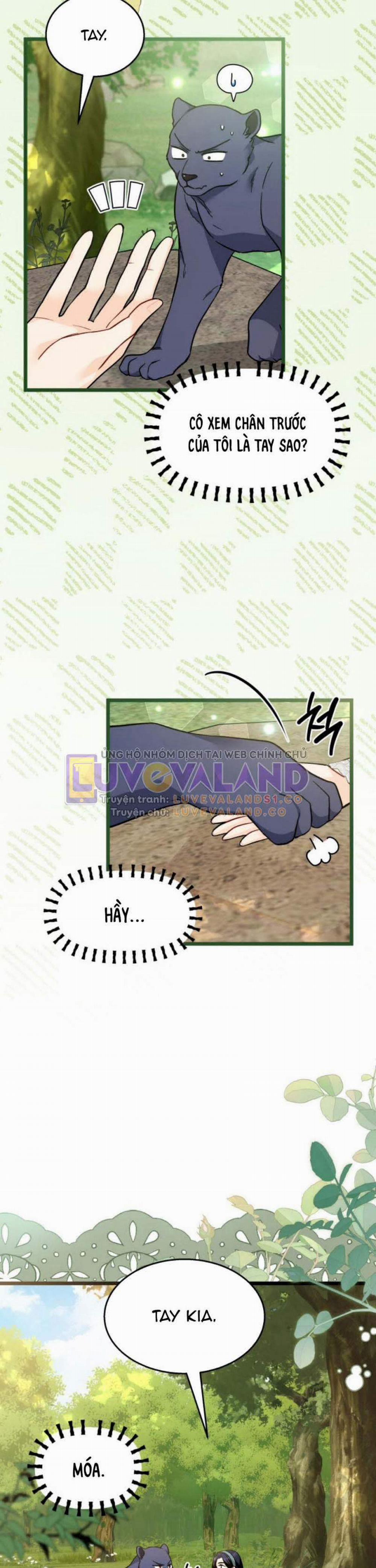 Mối Quan Hệ Cộng Sinh Giữa Báo Đen Và Thỏ Trắng 153 trang 11