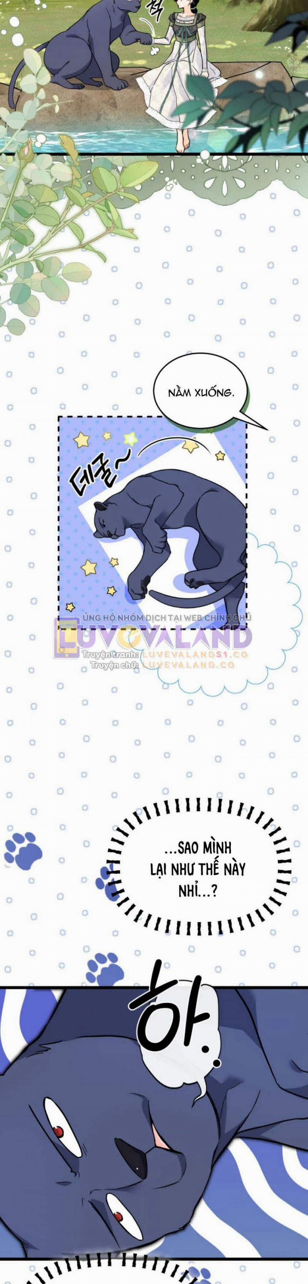 Mối Quan Hệ Cộng Sinh Giữa Báo Đen Và Thỏ Trắng 153 trang 12