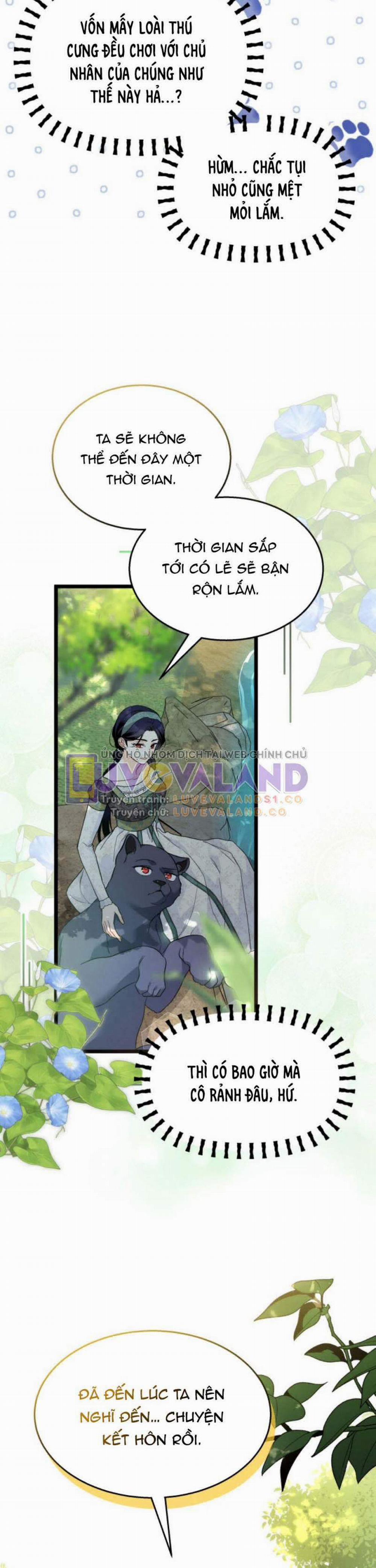 Mối Quan Hệ Cộng Sinh Giữa Báo Đen Và Thỏ Trắng 153 trang 13