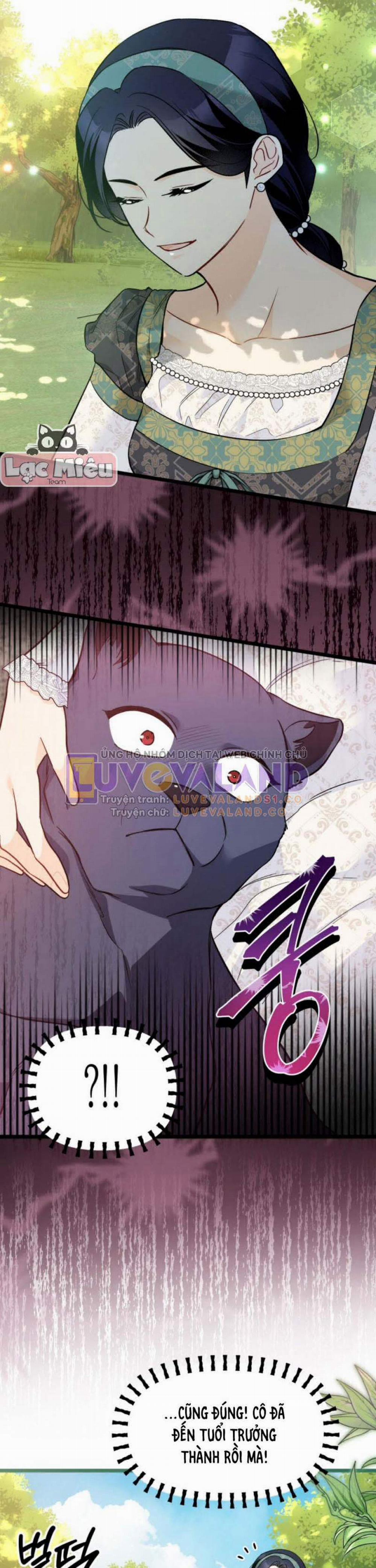 Mối Quan Hệ Cộng Sinh Giữa Báo Đen Và Thỏ Trắng 153 trang 14