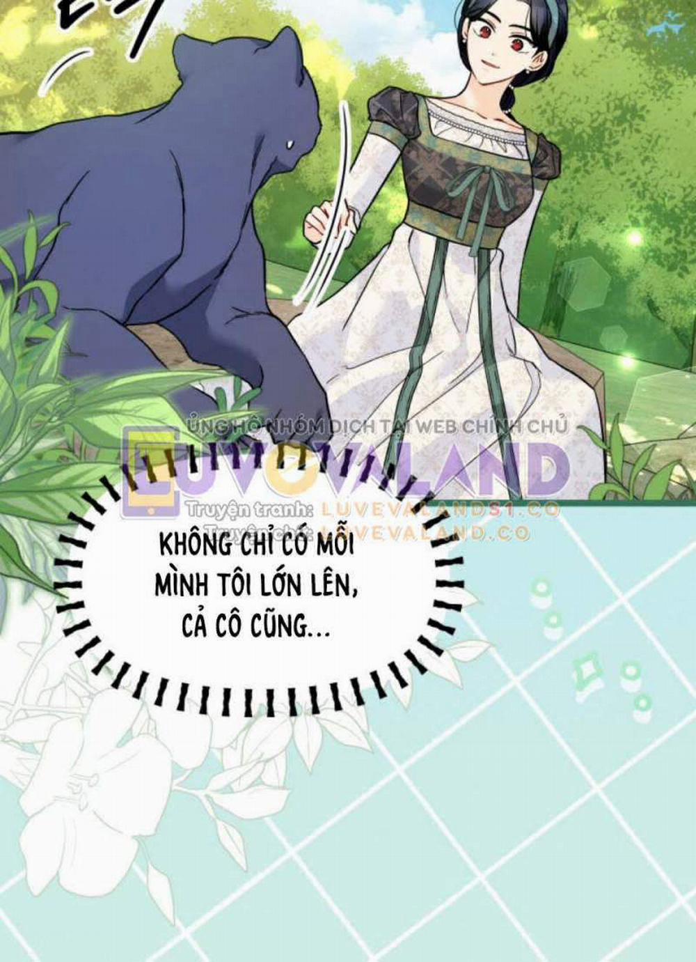 Mối Quan Hệ Cộng Sinh Giữa Báo Đen Và Thỏ Trắng 153 trang 15