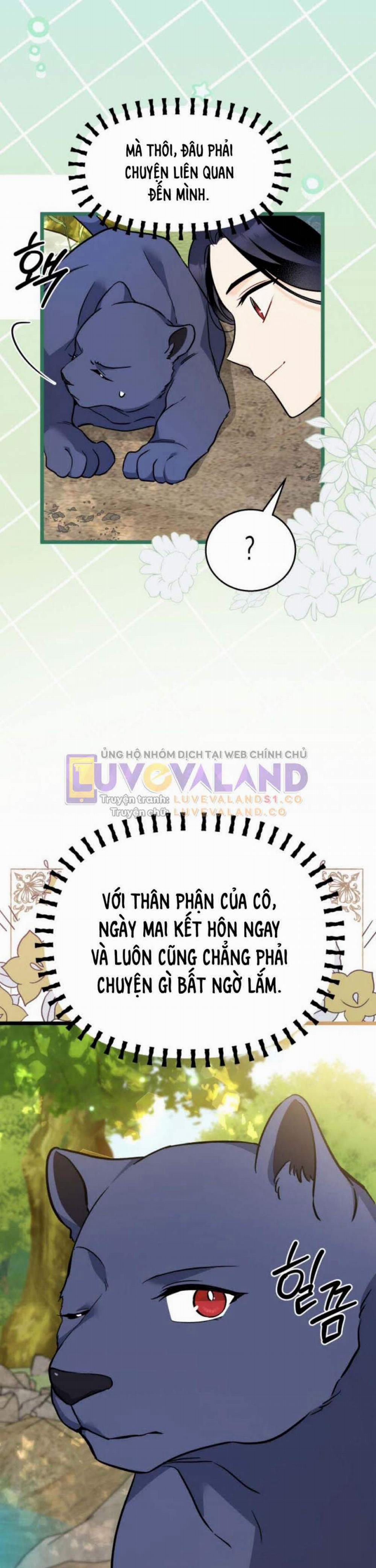 Mối Quan Hệ Cộng Sinh Giữa Báo Đen Và Thỏ Trắng 153 trang 16