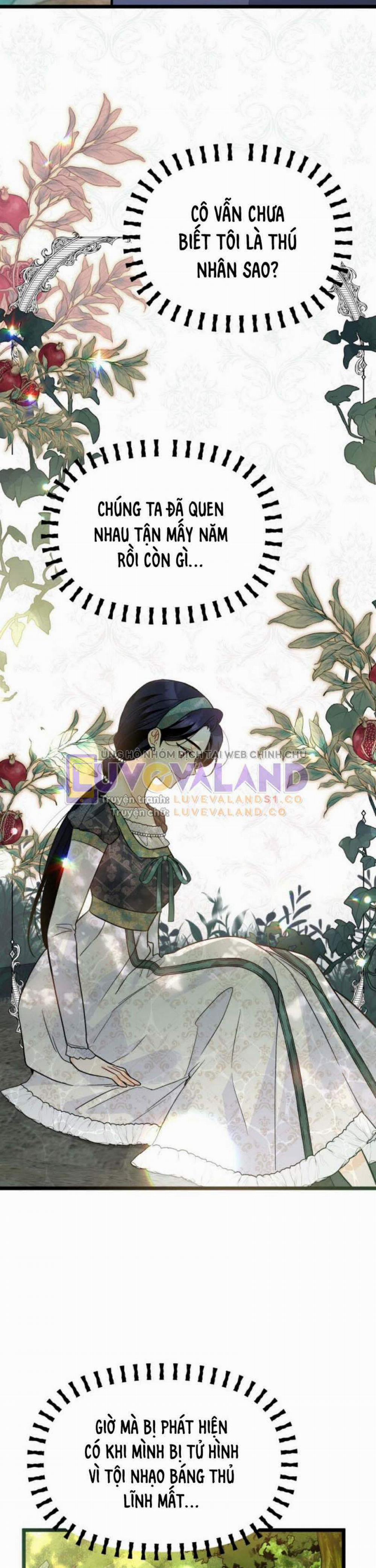 Mối Quan Hệ Cộng Sinh Giữa Báo Đen Và Thỏ Trắng 153 trang 17