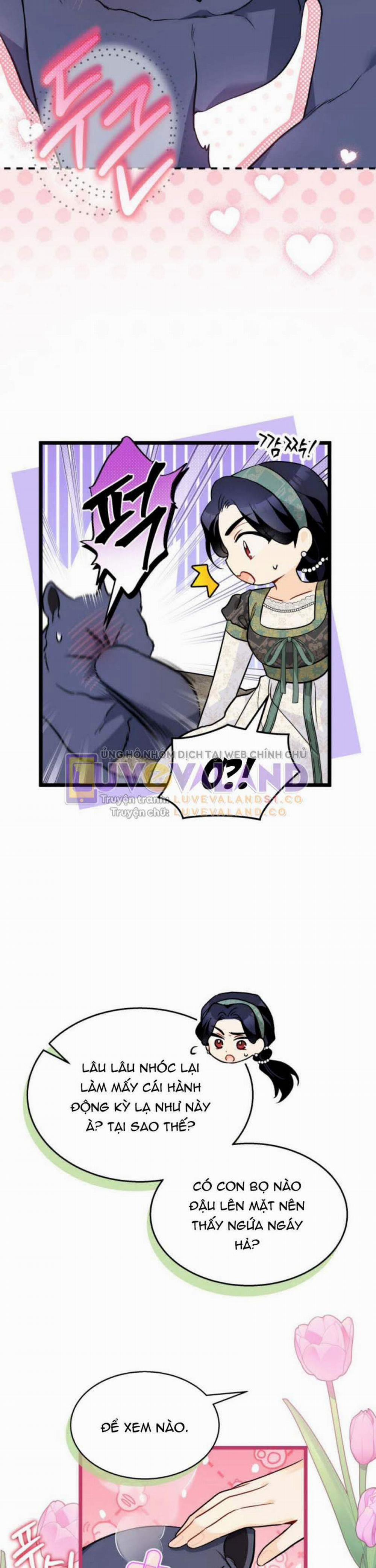 Mối Quan Hệ Cộng Sinh Giữa Báo Đen Và Thỏ Trắng 153 trang 28