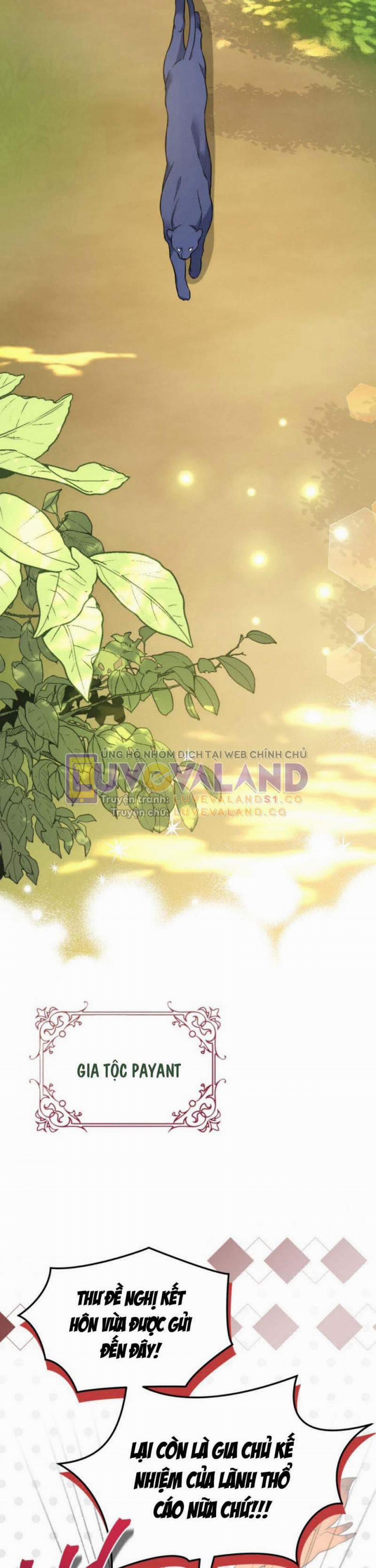 Mối Quan Hệ Cộng Sinh Giữa Báo Đen Và Thỏ Trắng 153 trang 3