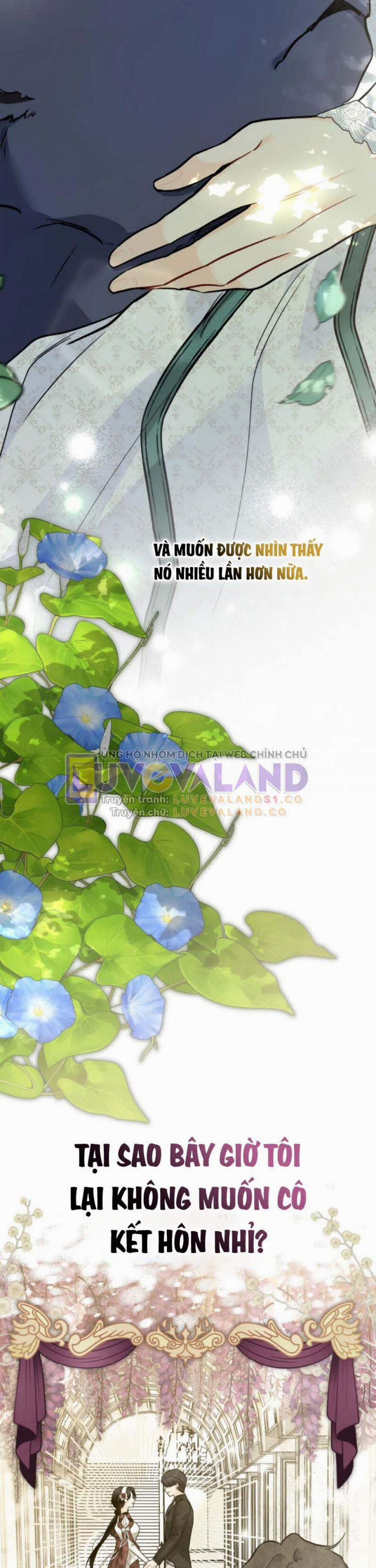 Mối Quan Hệ Cộng Sinh Giữa Báo Đen Và Thỏ Trắng 153 trang 31