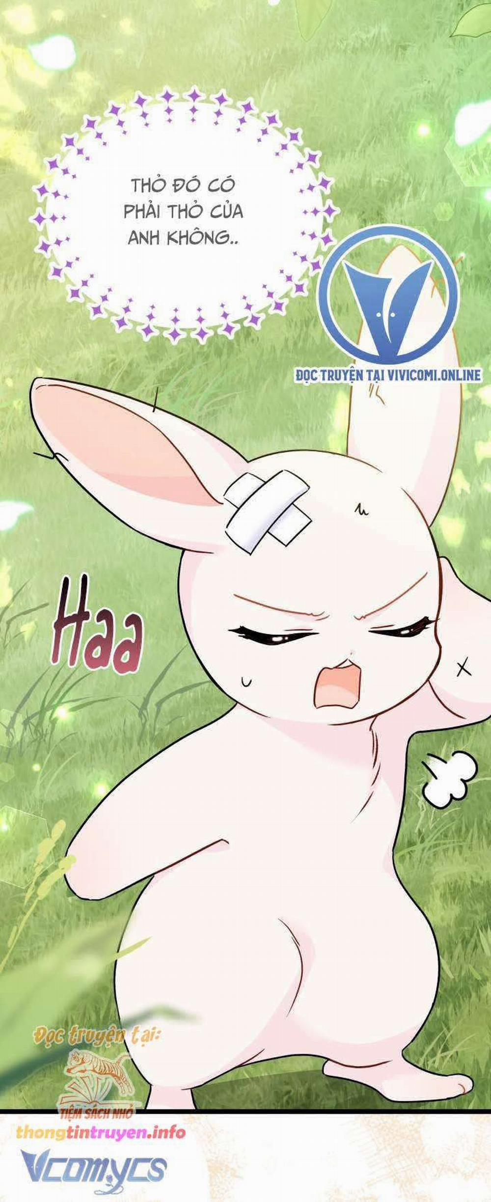 Mối Quan Hệ Cộng Sinh Giữa Báo Đen Và Thỏ Trắng 155 trang 41