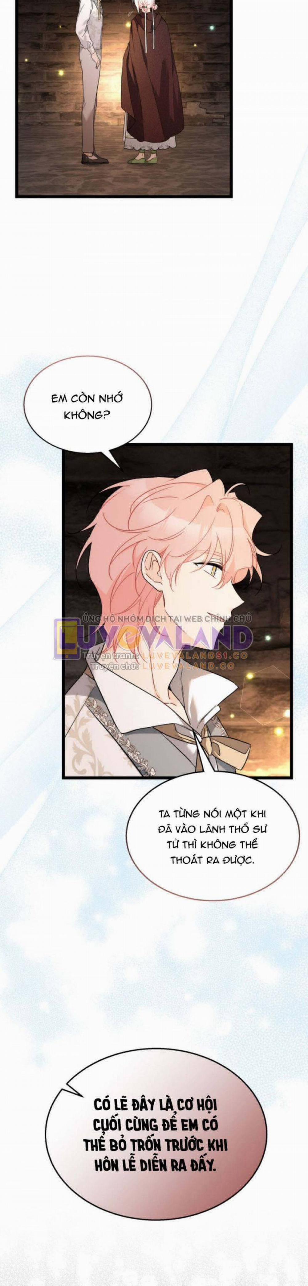 Mối Quan Hệ Cộng Sinh Giữa Báo Đen Và Thỏ Trắng 157 trang 11